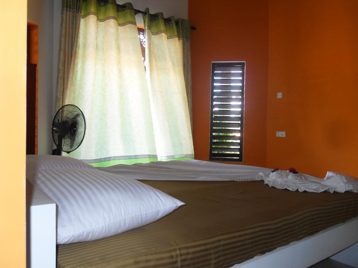 Bee Nest Bed & Breakfast Негомбо Экстерьер фото