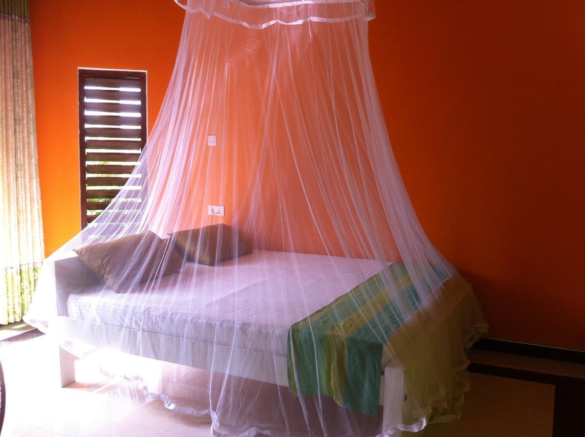 Bee Nest Bed & Breakfast Негомбо Экстерьер фото