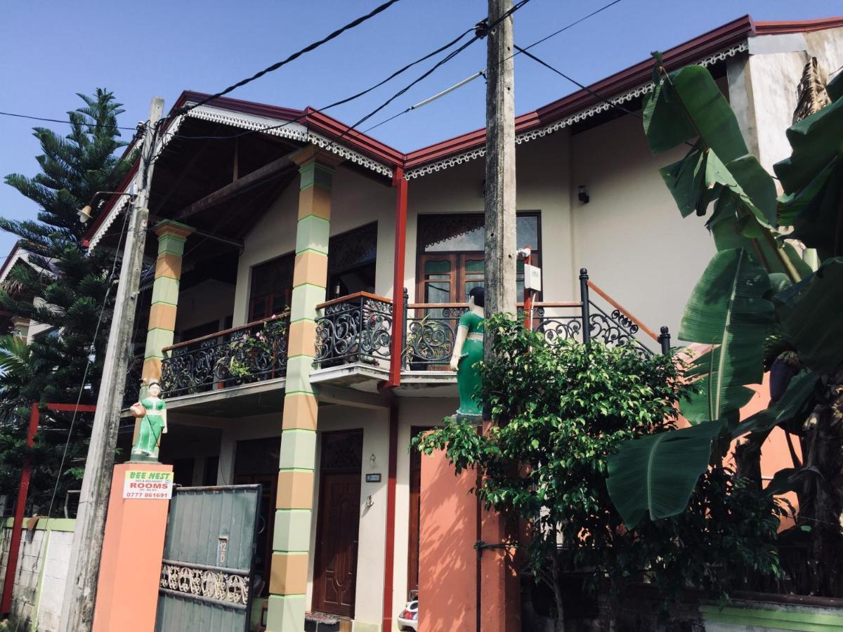 Bee Nest Bed & Breakfast Негомбо Экстерьер фото